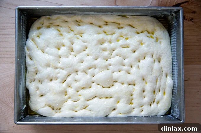 The Easiest Sourdough Focaccia: Perfect for Beginners 19 Sourdough focaccia dough, dimpled and seasoned with sea salt, ready for the oven