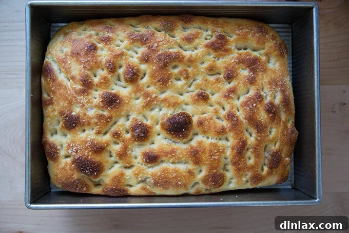 The Easiest Sourdough Focaccia: Perfect for Beginners 20 Just-baked golden-brown sourdough focaccia, fresh out of the oven