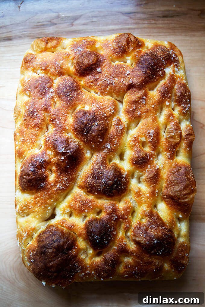 The Easiest Sourdough Focaccia: Perfect for Beginners 21 Stunning overhead shot of a perfectly baked sourdough focaccia, golden and inviting