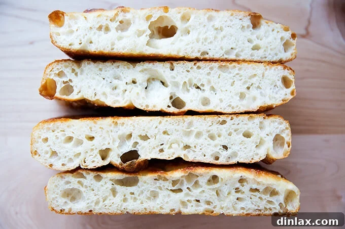 The Easiest Sourdough Focaccia: Perfect for Beginners 22 Close-up of the airy, open crumb of a freshly baked sourdough focaccia