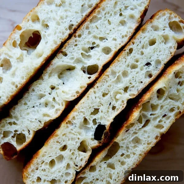 Close-up shot of freshly baked sourdough focaccia with a light and airy crumb