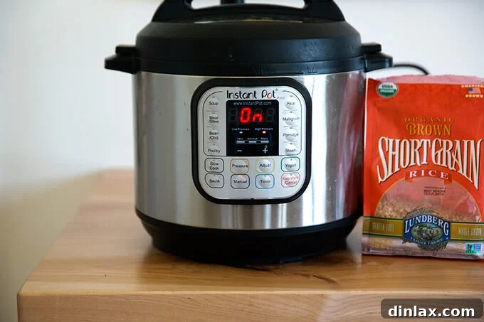 Ginger-Scallion Infused Steamed Whole Fish 20 Perfect Instant Pot brown rice, a simple and delicious accompaniment.