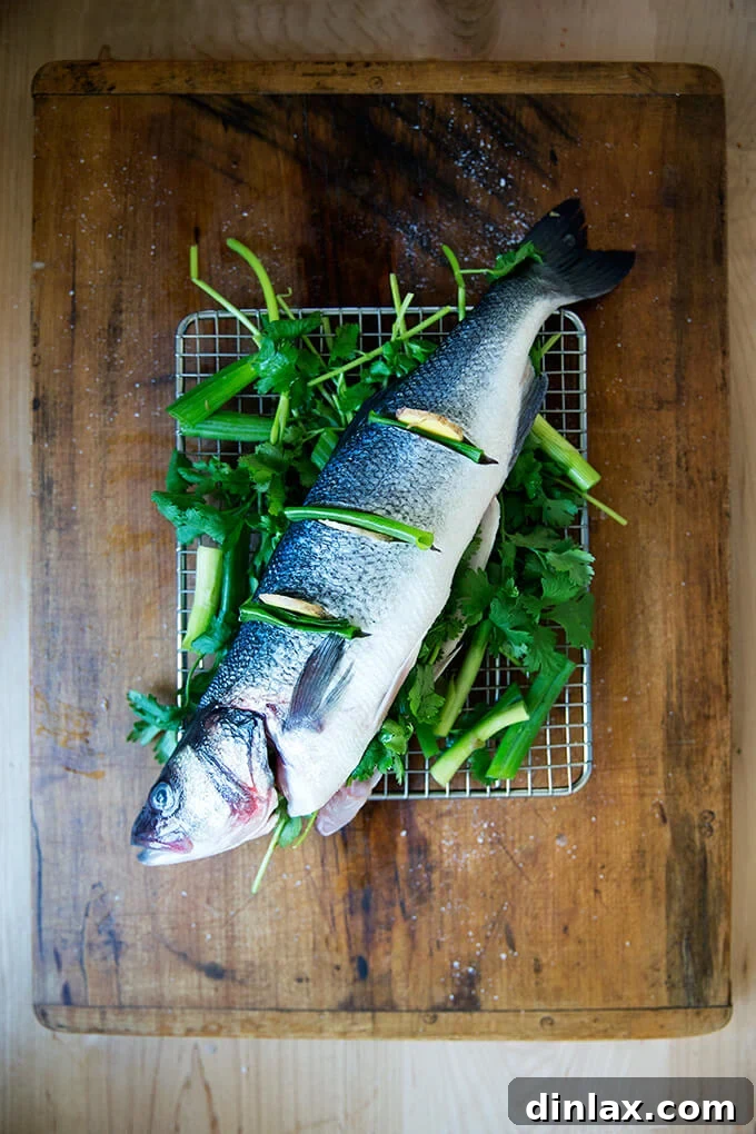 Ginger-Scallion Infused Steamed Whole Fish 9 Whole Branzino positioned on a bed of aromatics in a steamer basket, ready to be steamed.