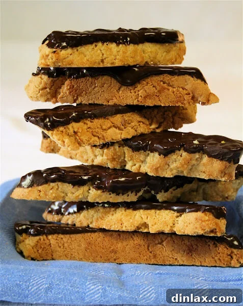 A stack of biscotti dipped in rich dark chocolate, showcasing a classic and elegant finish.