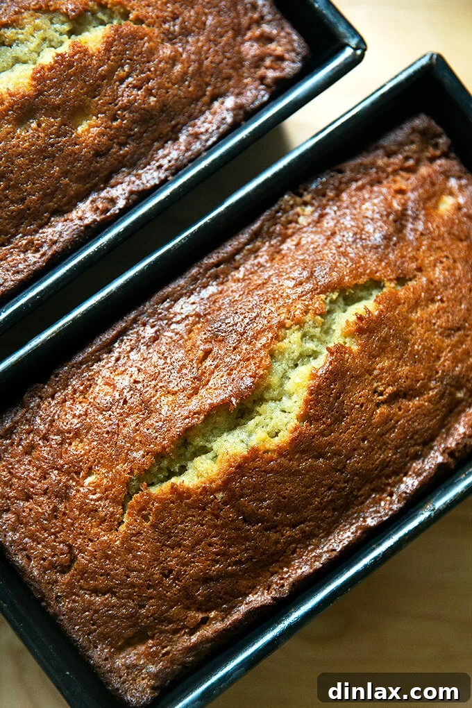 Mrs Myers Legendary Sweet Moist Banana Bread 2 Just baked banana bread still in loaf pans, warm and golden.