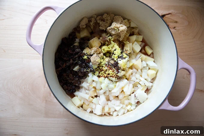 Versatile Apple Chutney Brightened with Ginger and Lemon 5 All the ingredients for the adaptable apple chutney recipe, including chopped apples, onions, sugar, vinegar, and spices, gathered together in a large, nonreactive cooking pot.