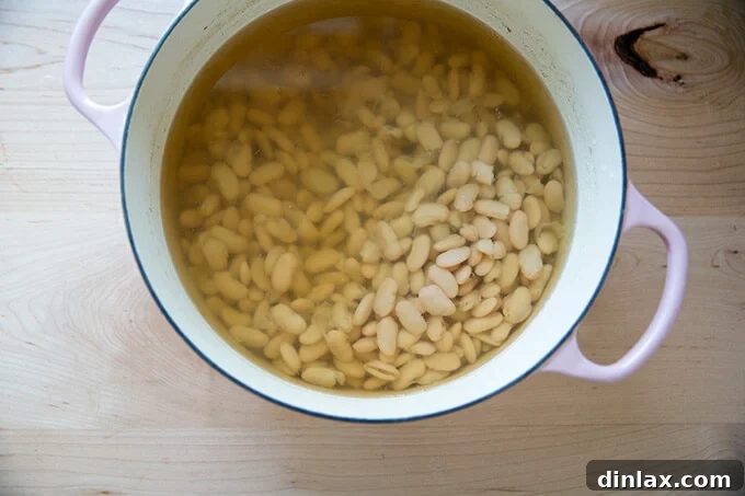Perfectly cooked white beans, tender and ready for blending