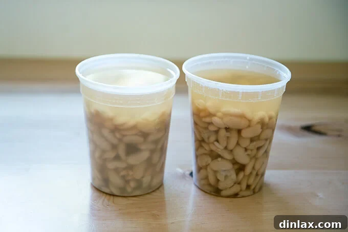 Cooked white beans stored in their liquid, ready for future use