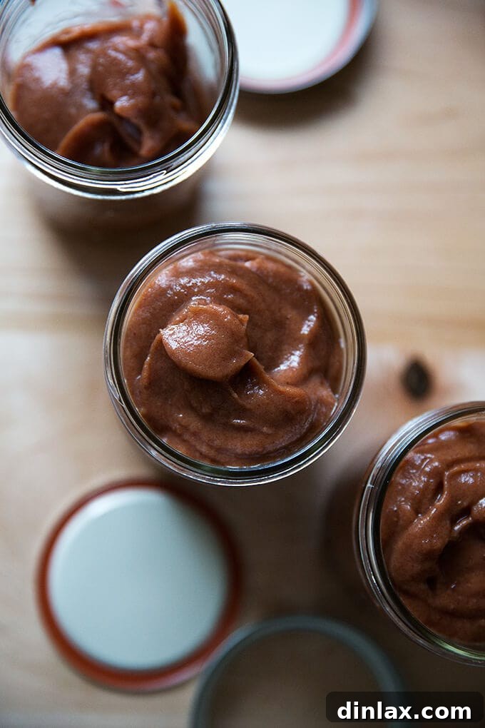 Marisa McClellan's apple-date butter, ready to be processed