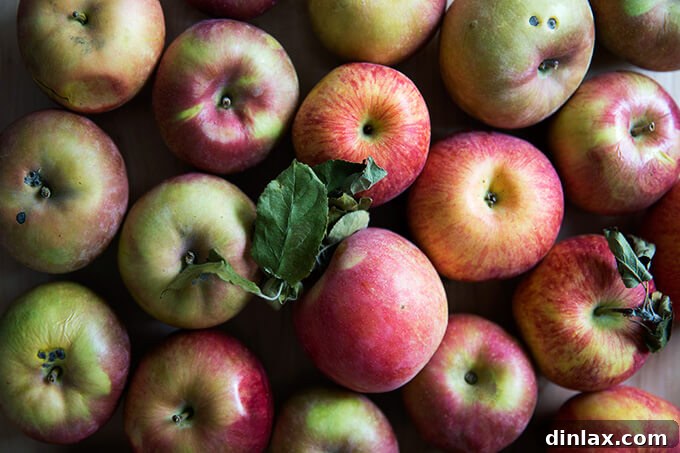 Freshly gathered apples ready for apple-date butter preparation