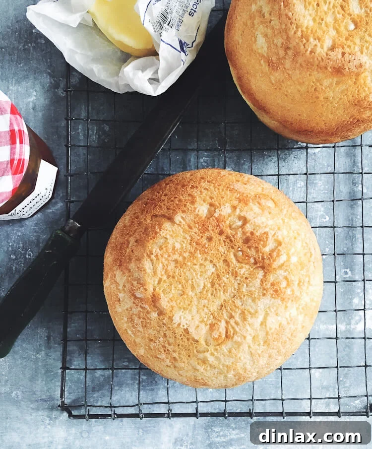 Bread Toast Crumbs' Second Anniversary: 15 Must-Try Web Recipes 10 Master No-Knead Peasant Bread by The Clever Carrot, showcasing a rustic crust