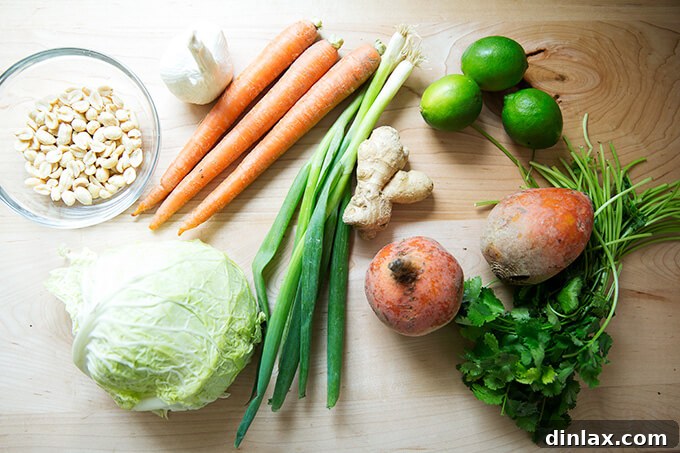 A flat lay of all the fresh ingredients needed for the chopped Thai satay salad, including peanuts, shredded cabbage, carrots, scallions, ginger, beets, and cilantro.