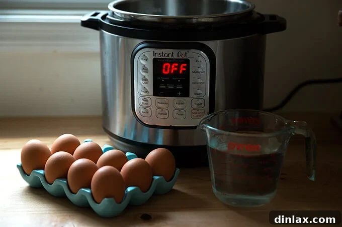 The Instant Pot 6-quart IP Duo with uncooked eggs and water measured and ready for cooking.