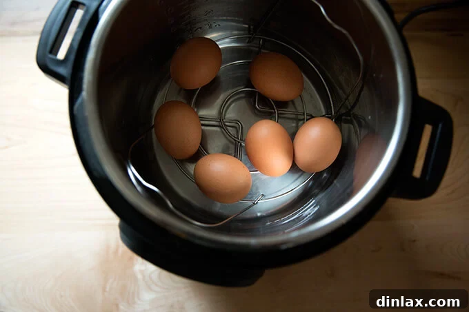 The Instant Pot 6-quart IP Duo with 6 uncooked eggs carefully placed on a steamer insert above the measured water.