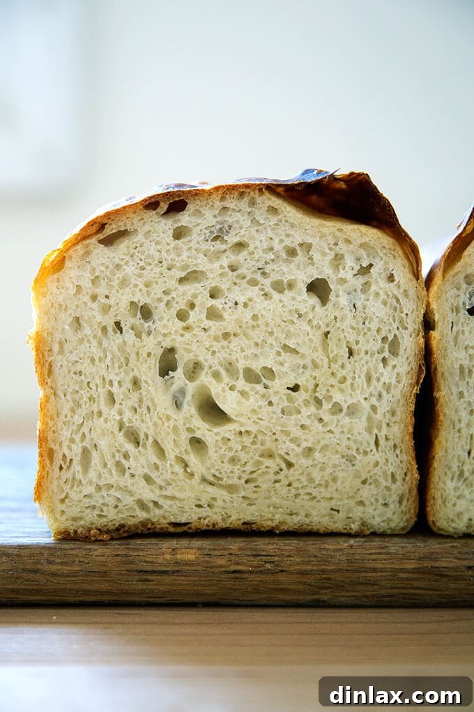 Beautifully baked sourdough sandwich bread with a soft, airy crumb.