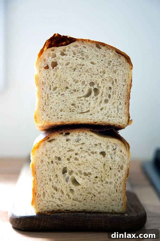 A halved loaf of sourdough sandwich bread, revealing its airy and soft interior crumb.