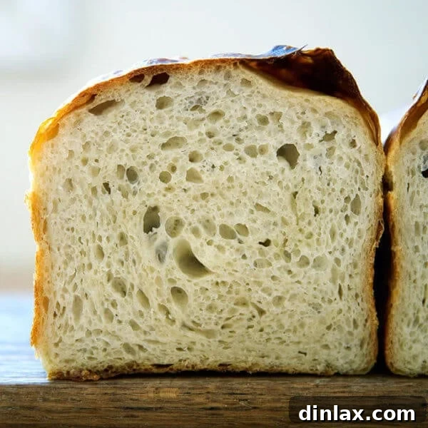 Beautifully baked sourdough sandwich bread with a soft, airy crumb.