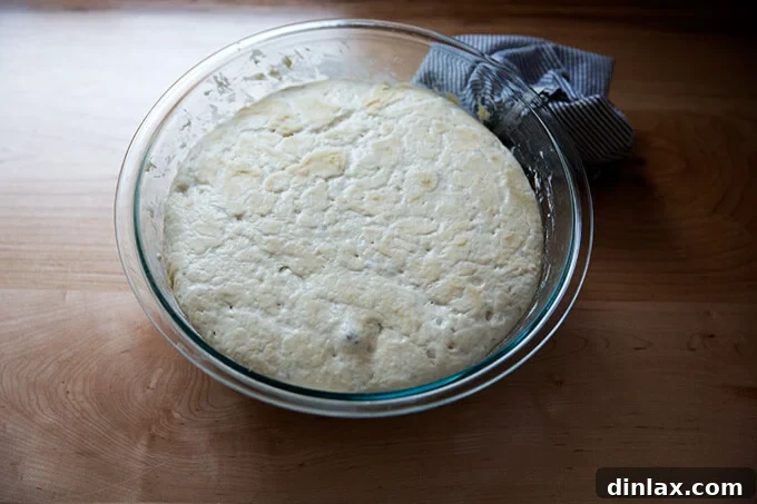 Sourdough focaccia dough after an 18-hour rise, showing significant volume increase.