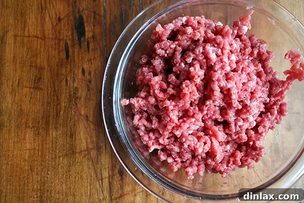 Freshly ground lamb in a bowl A bowl filled with freshly ground lamb, ready for seasoning and mixing.
