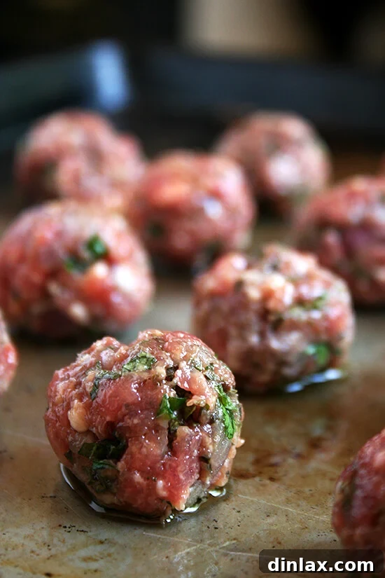 Unbaked lamb meatballs ready for cooking Several perfectly formed, unbaked lamb meatballs arranged on a sheet pan, ready for broiling.