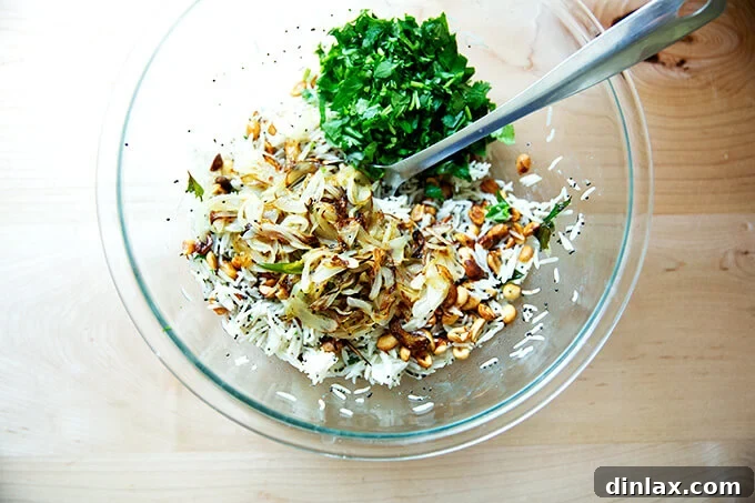 The bowl of Indian Fried Rice, now fully assembled with spiced rice, peanuts, caramelized onions, chilies, and fresh cilantro, awaiting its final toss.