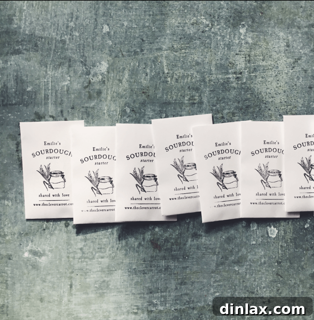 Assorted packets of Emilie Raffa's dried sourdough starter, ready for activation.