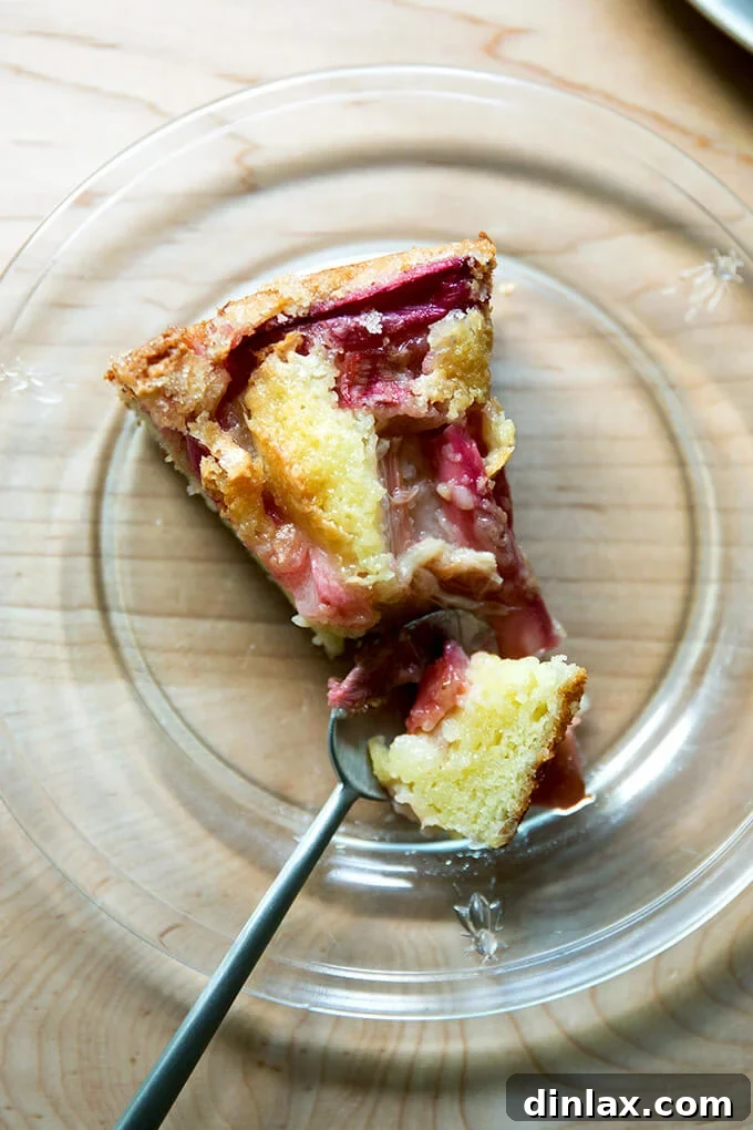 Creamy Rhubarb Dream Cake 11 An inviting slice of rhubarb custard cake, revealing its delicate, custardy interior and soft rhubarb pieces.