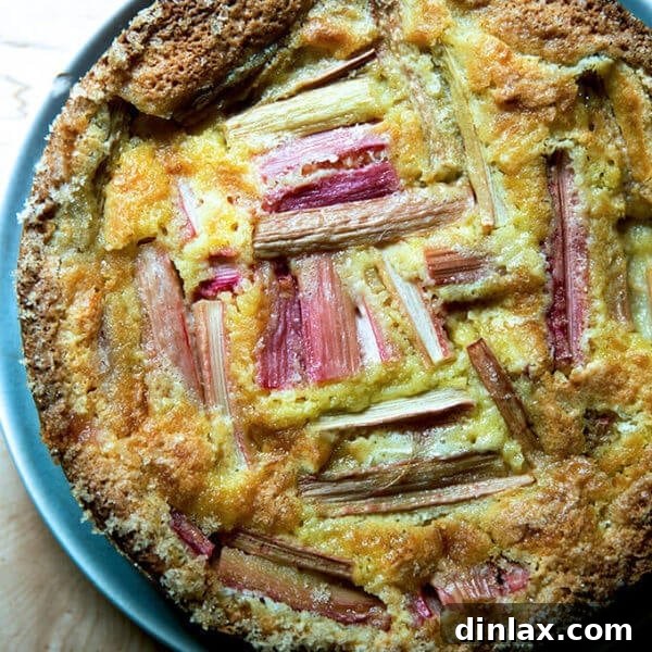 A vibrant and golden Rhubarb Custard Cake, cooled and ready to be served, showcasing its enticing texture.