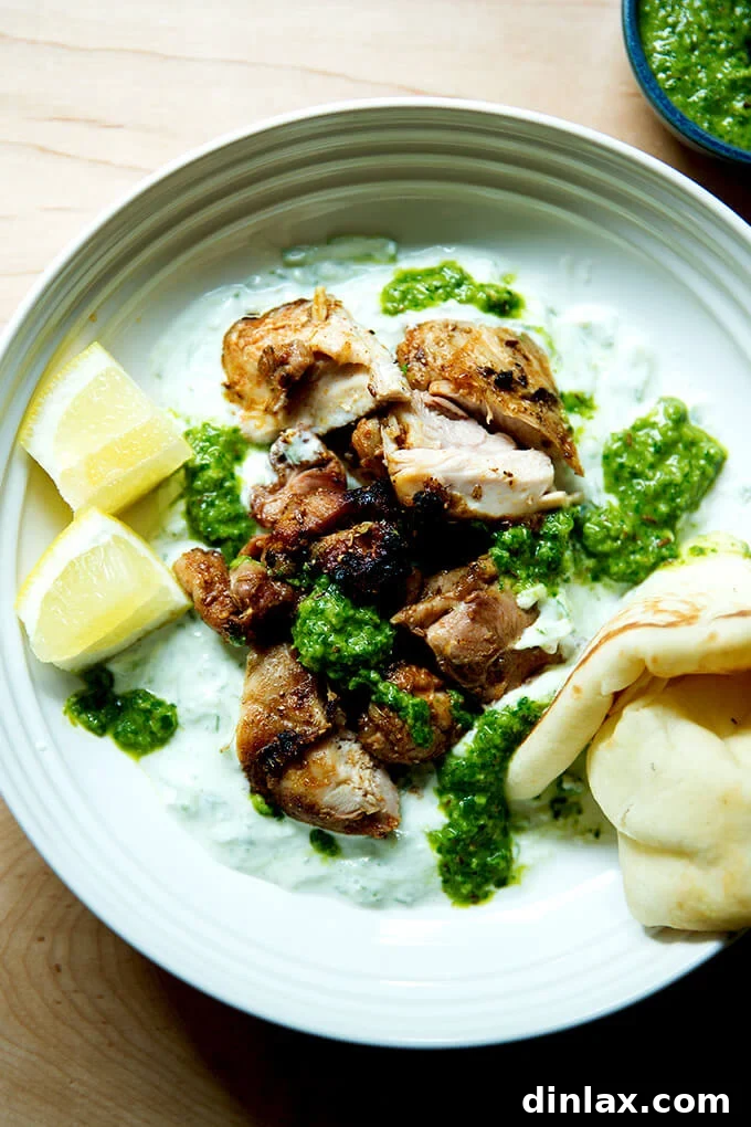 A grand serving platter brimming with smoky grilled chicken, creamy cucumber-yogurt sauce, zesty skhug, warm pita bread, and fresh lemon wedges, ready for sharing.