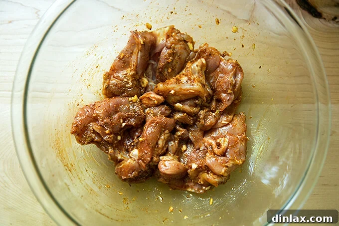 Boneless chicken thighs marinating in a rich blend of salt, smoked paprika, toasted cumin, coriander, minced garlic, and grapeseed oil.