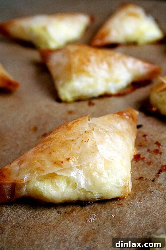 Freshly baked Tiropitas, still warm and golden, showcasing their flaky phyllo layers.