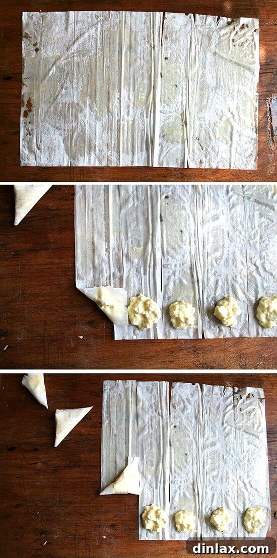 A step-by-step visual guide showing how to butter phyllo, cut into strips, add filling, and fold into perfect triangles for Tiropitas.