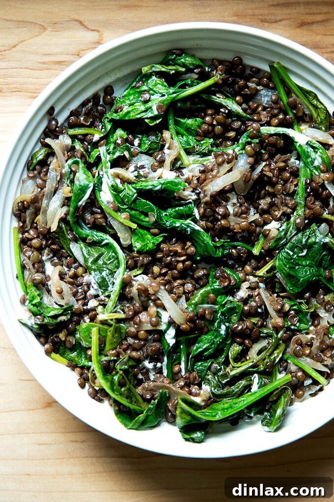 Irresistible Black Lentil and Spinach Delight 2 A bowl of black lentils with spinach and labneh, garnished for serving.