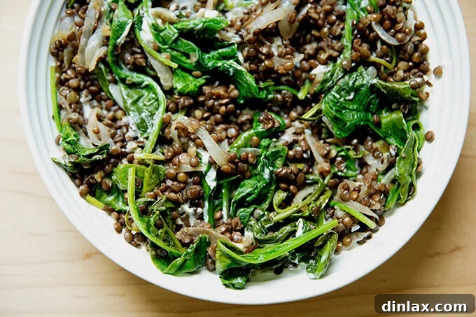 Irresistible Black Lentil and Spinach Delight 13 A bowl of black lentils with spinach spooned over labneh, garnished and ready to eat.