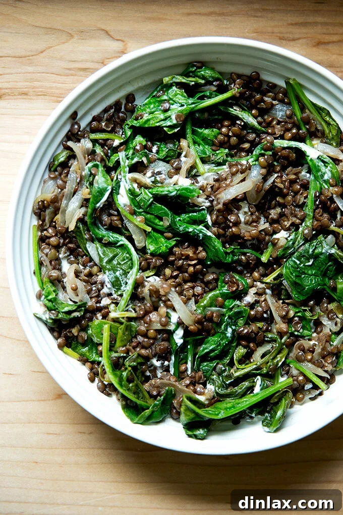 Irresistible Black Lentil and Spinach Delight 14 A close-up of a bowl of black lentils with spinach and labneh, highlighting the texture and fresh ingredients.