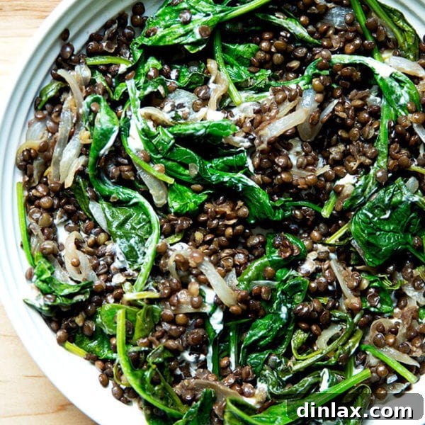 A bowl of black lentils with spinach and labneh, ready to be enjoyed.