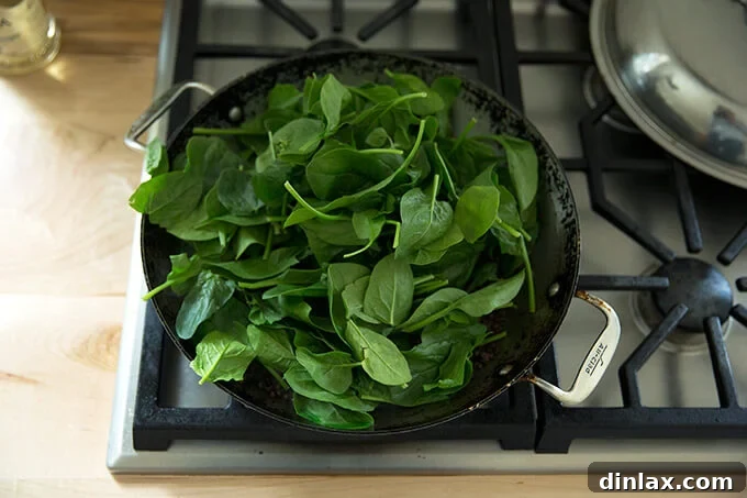 Irresistible Black Lentil and Spinach Delight 9 A skillet with lentils and onions, topped with a large mound of fresh spinach.