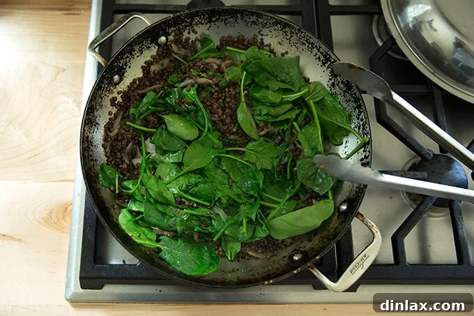 Irresistible Black Lentil and Spinach Delight 10 A spoon gently mixing the spinach into the warm lentils and onions in the skillet.