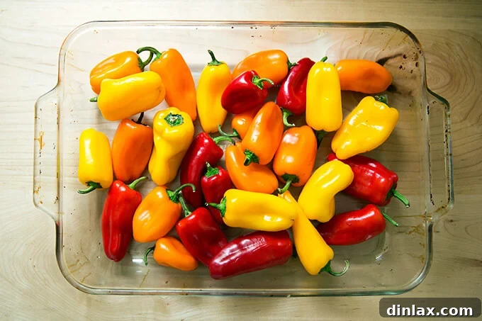 Uncooked mini peppers arranged in a 9x13-inch baking pan, ready for seasoning.