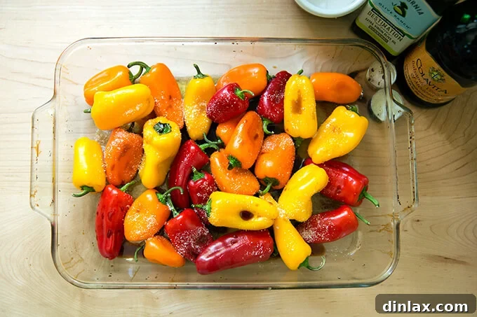 Mini peppers in a pan, coated with olive oil, balsamic vinegar, and salt, ready for roasting.