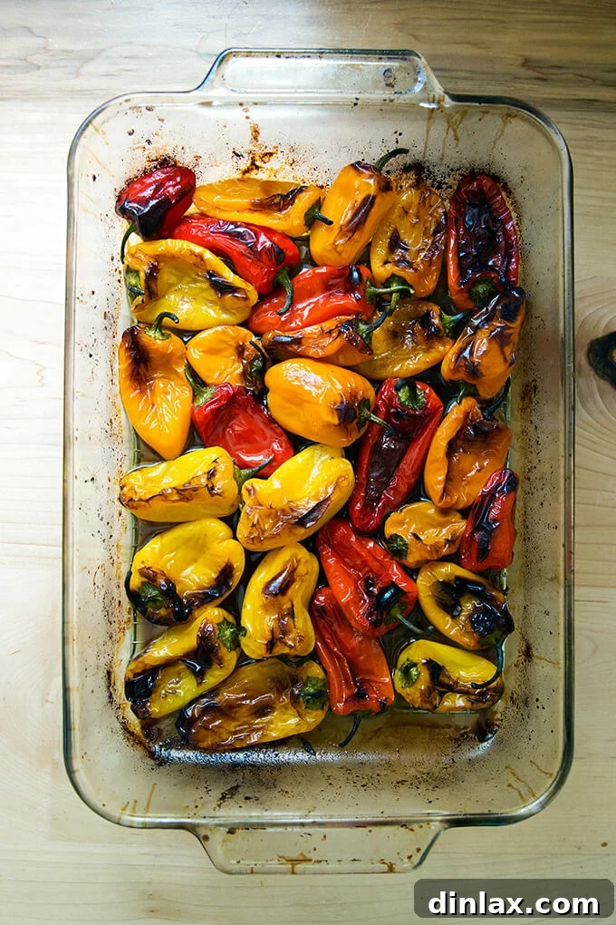 A 9x13-inch pan filled with just-roasted balsamic mini peppers, showing beautiful blistering and tenderness.
