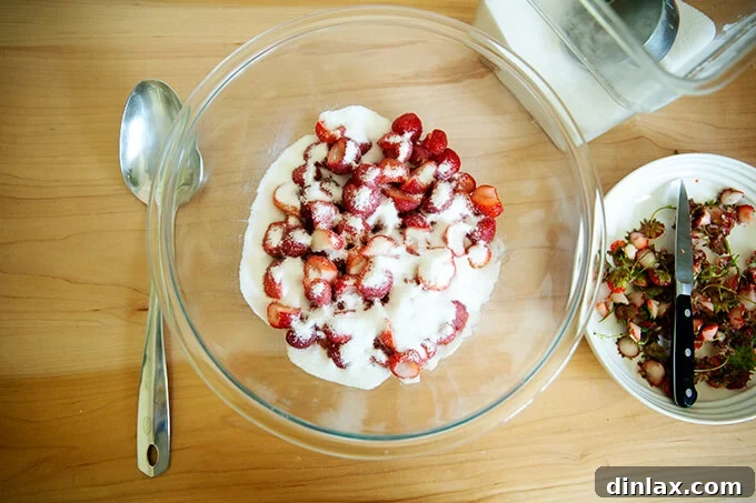 Refreshing Strawberry Sorbet Nestled in Buttery Almond Butterscotch Cookie Cups 5 Chopped strawberries mixed with granulated sugar in a bowl, beginning to macerate.