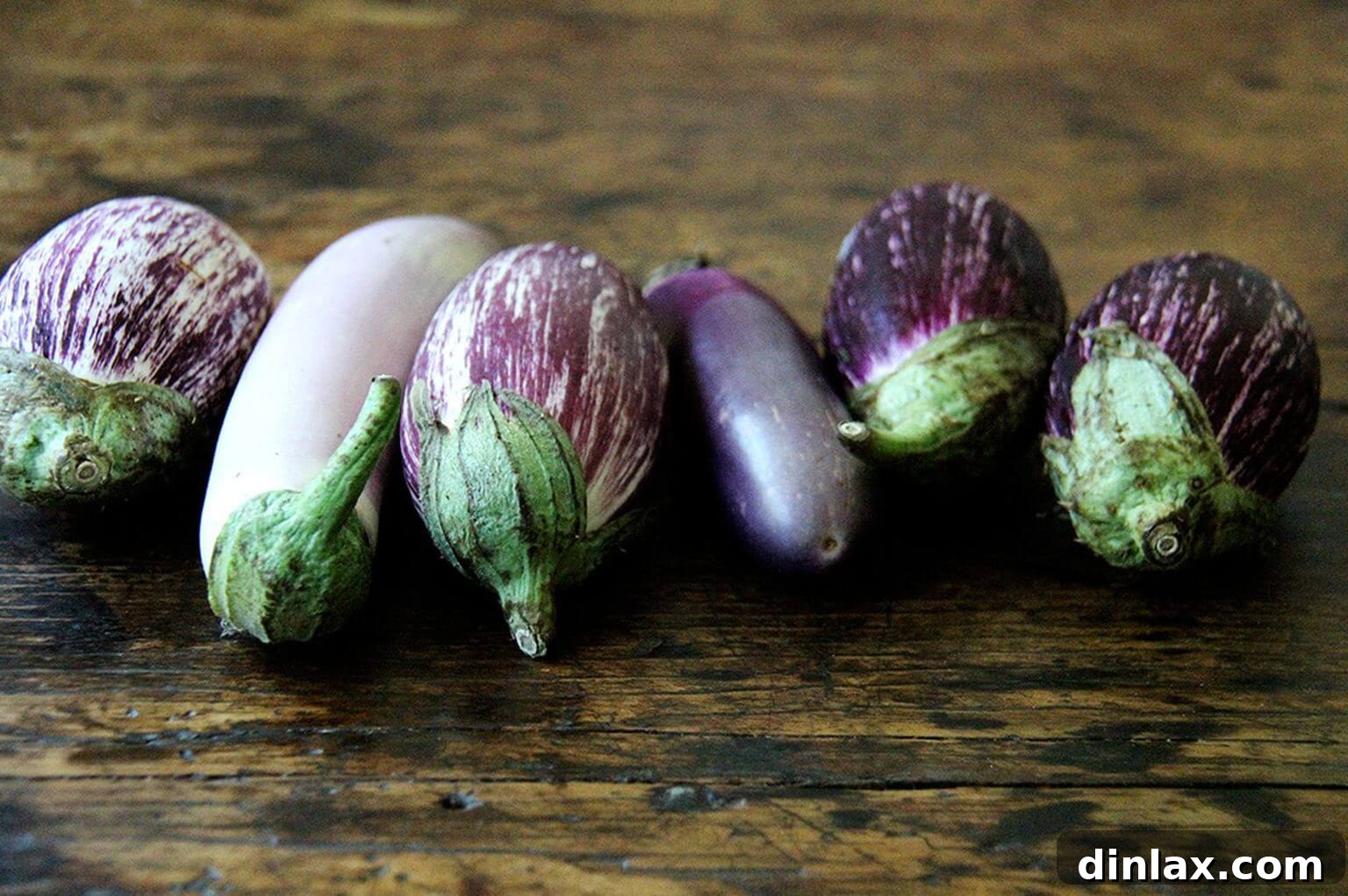 Grilled Eggplant and Arugula Sandwiches 3 eggplant