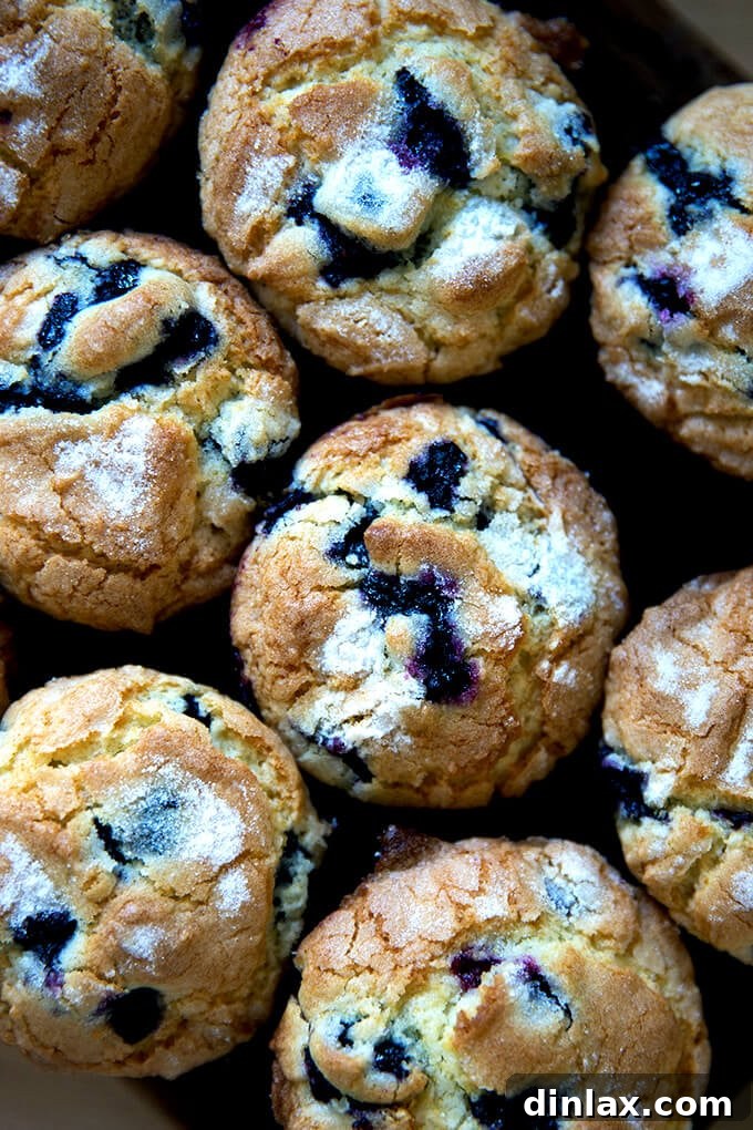 An overhead shot of just baked lemon-blueberry muffins, showcasing their golden, sugar-crusted tops.