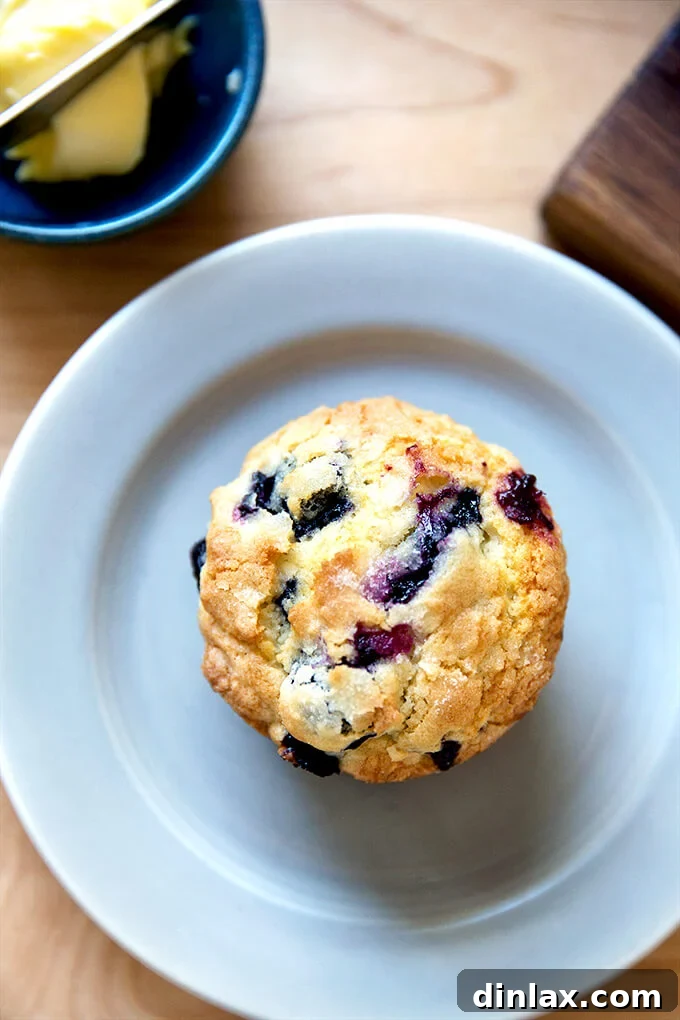 An overhead shot of a single lemon blueberry muffin perfectly placed on a white plate, ready to be enjoyed.