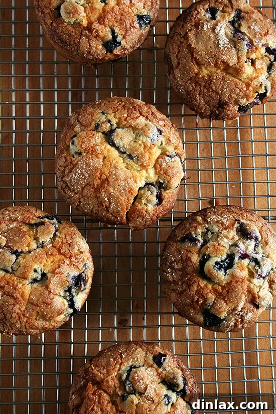 The best lemon-blueberry muffins arranged on a cooling rack, highlighting their impressive jumbo size.
