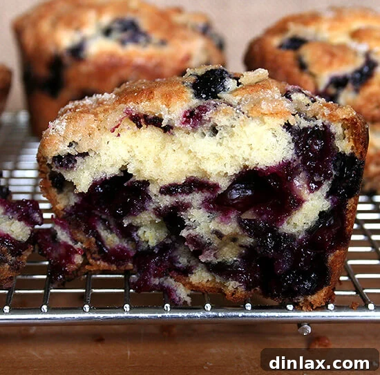 A halved jumbo lemon-blueberry muffin, revealing its tender, lemony crumb and juicy blueberries.