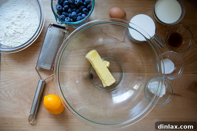 Ingredients laid out on a countertop, ready to make lemon blueberry muffins.