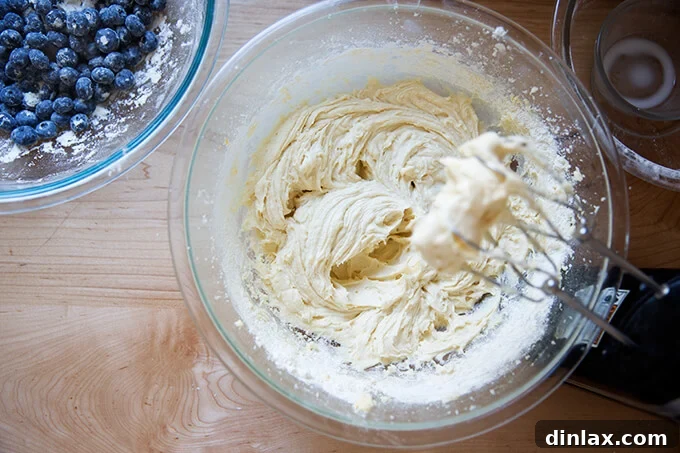 An overhead shot of a bowl containing blueberry muffin batter, with a handheld mixer and a bowl of flour-coated blueberries nearby.