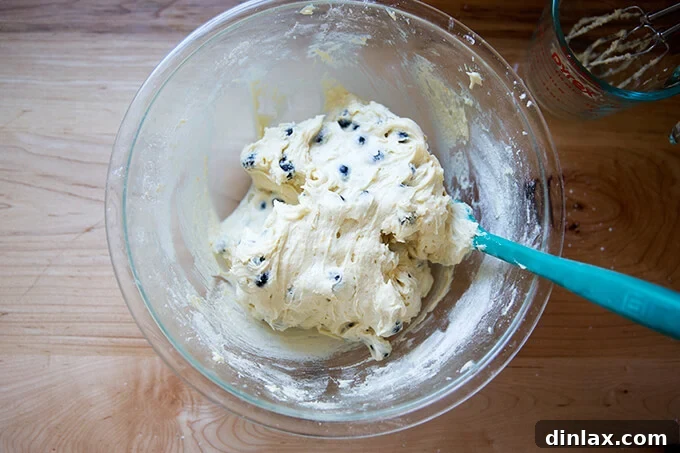 A bowl of lemon-blueberry muffin batter with a spatula, showing the blueberries folded in.